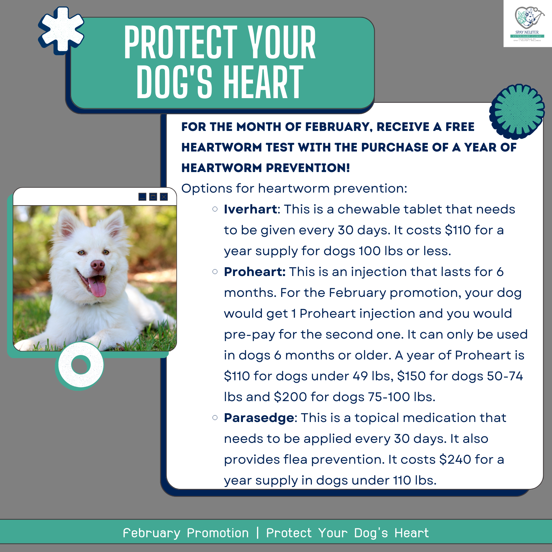Spay Neuter Veterinary Clinic of the Sandhills Socials (15) (1)