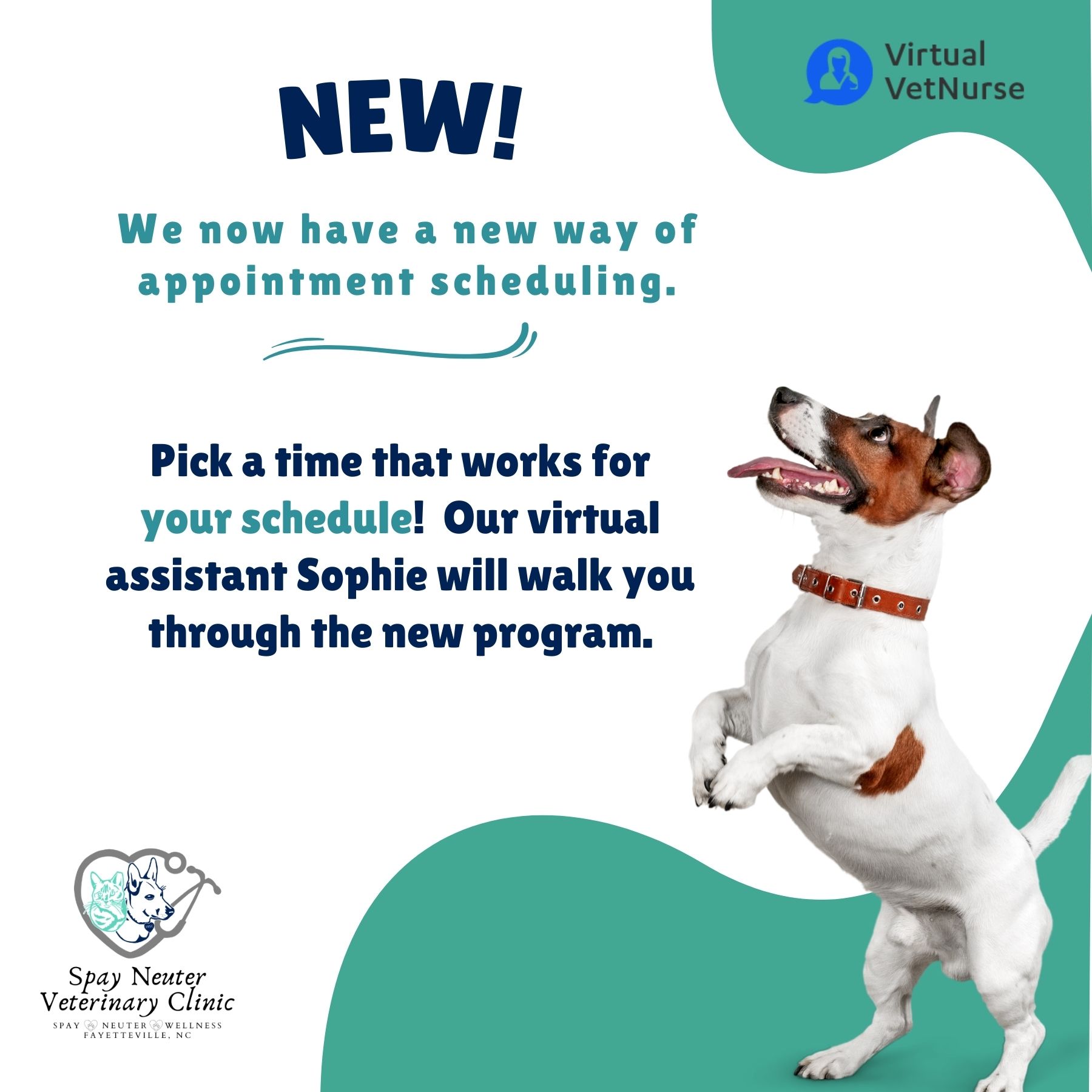 New virtual assistant
