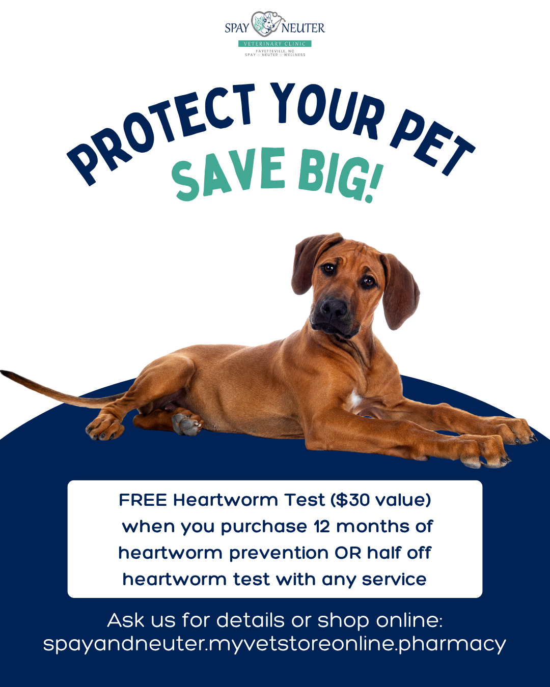 Heartworm Promo (1)